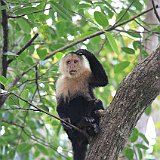 Costa Rica20150331-1924-0472